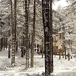 Zlatibor Wood