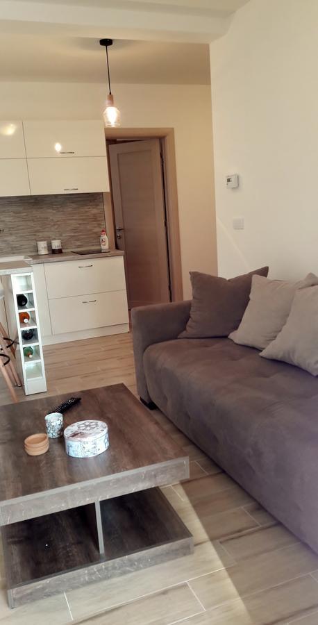 Apartment Wood Zlatibor