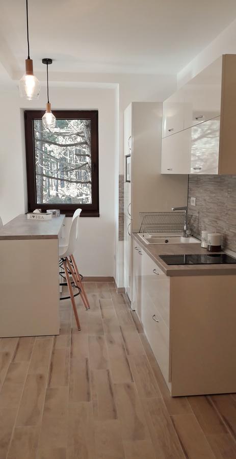 Wood Apartment *