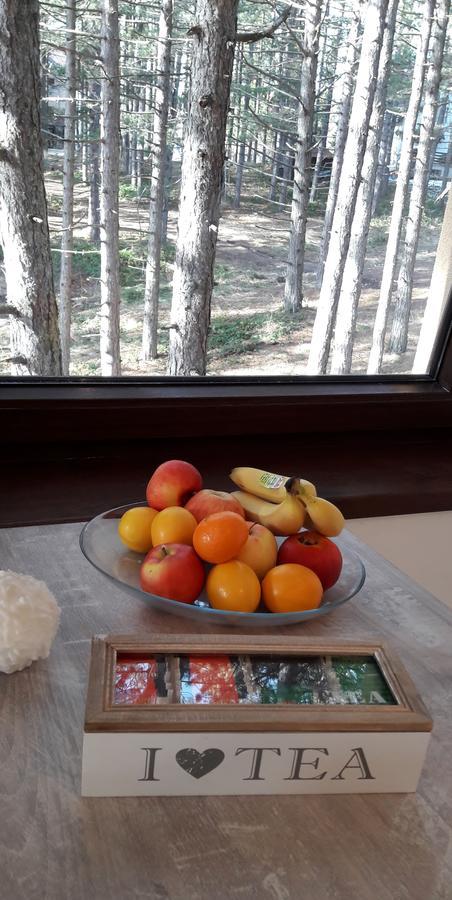Wood Apartment Zlatibor